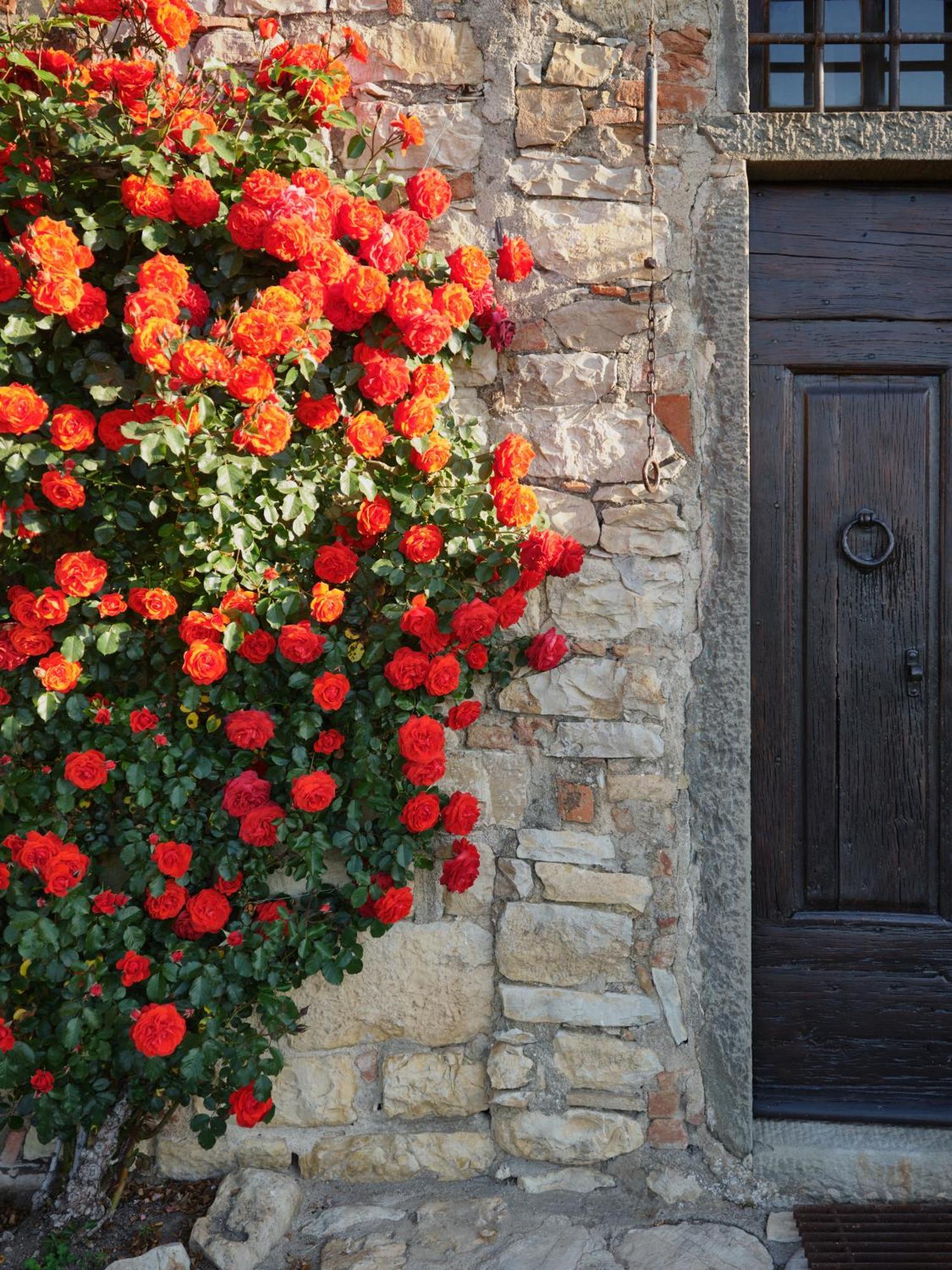 Pieve Marsina & Borgo Argenina Guest House Monti di Sotto Exterior photo