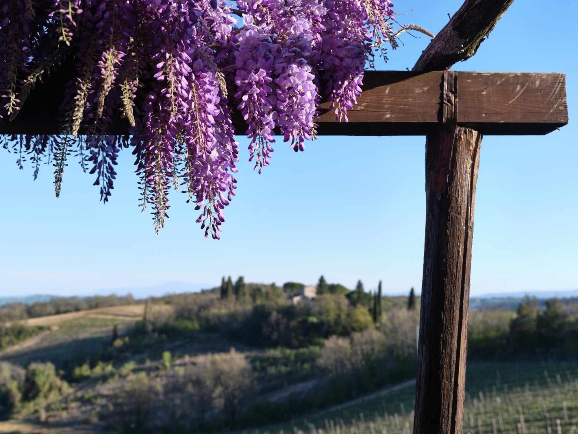 Pieve Marsina & Borgo Argenina Guest House Monti di Sotto Exterior photo